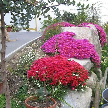Tipica Casa Portuguesa Vila Batalha
