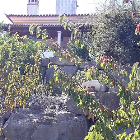 Tipica Casa Portuguesa Batalha