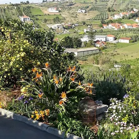 Tipica Casa Portuguesa Batalha