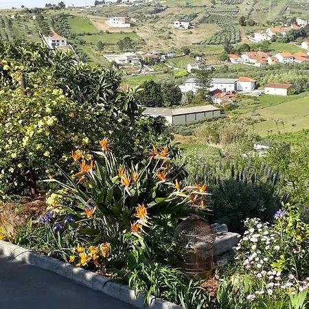 Tipica Casa Portuguesa Batalha