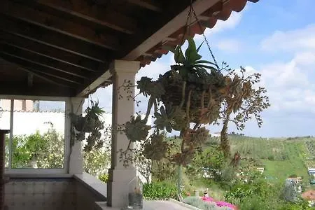 Tipica Casa Portuguesa Vila Batalha